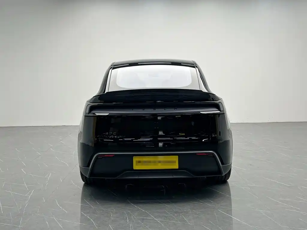 Tesla Model Y L — миниатюра 5
