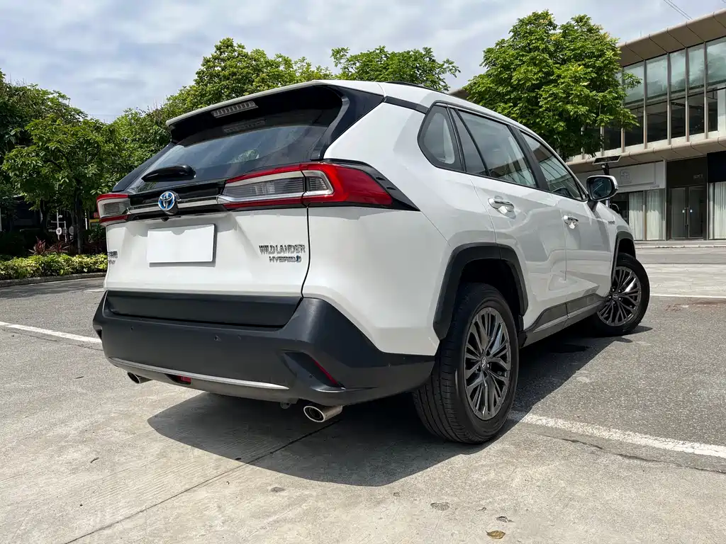 Toyota Wildlander 2023 2.5L E-CVT Luxury