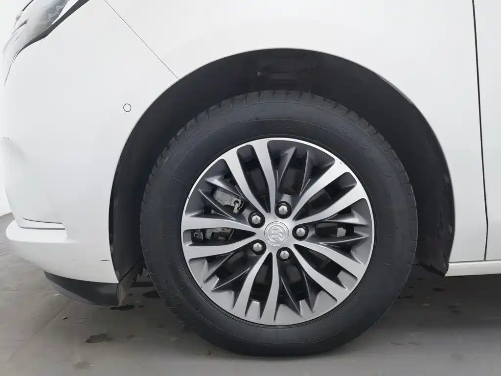 Buick GL8 — миниатюра 17