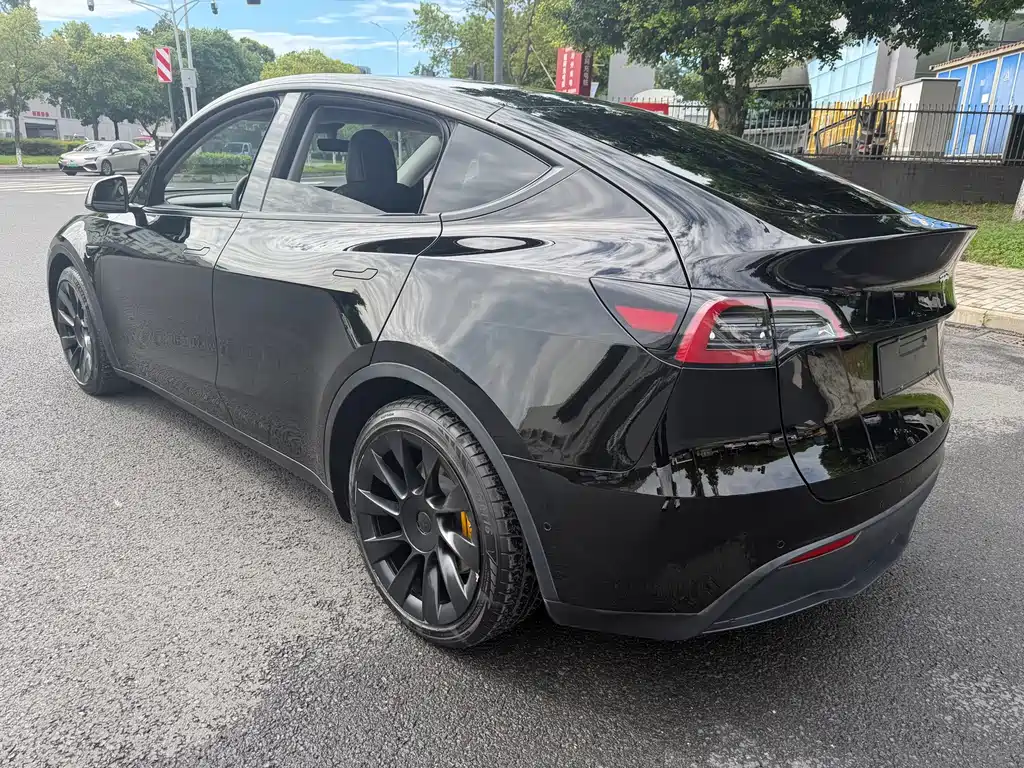 Tesla Model Y — миниатюра 5