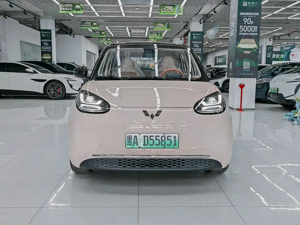 Wuling Binguo 2025 333km Enjoy