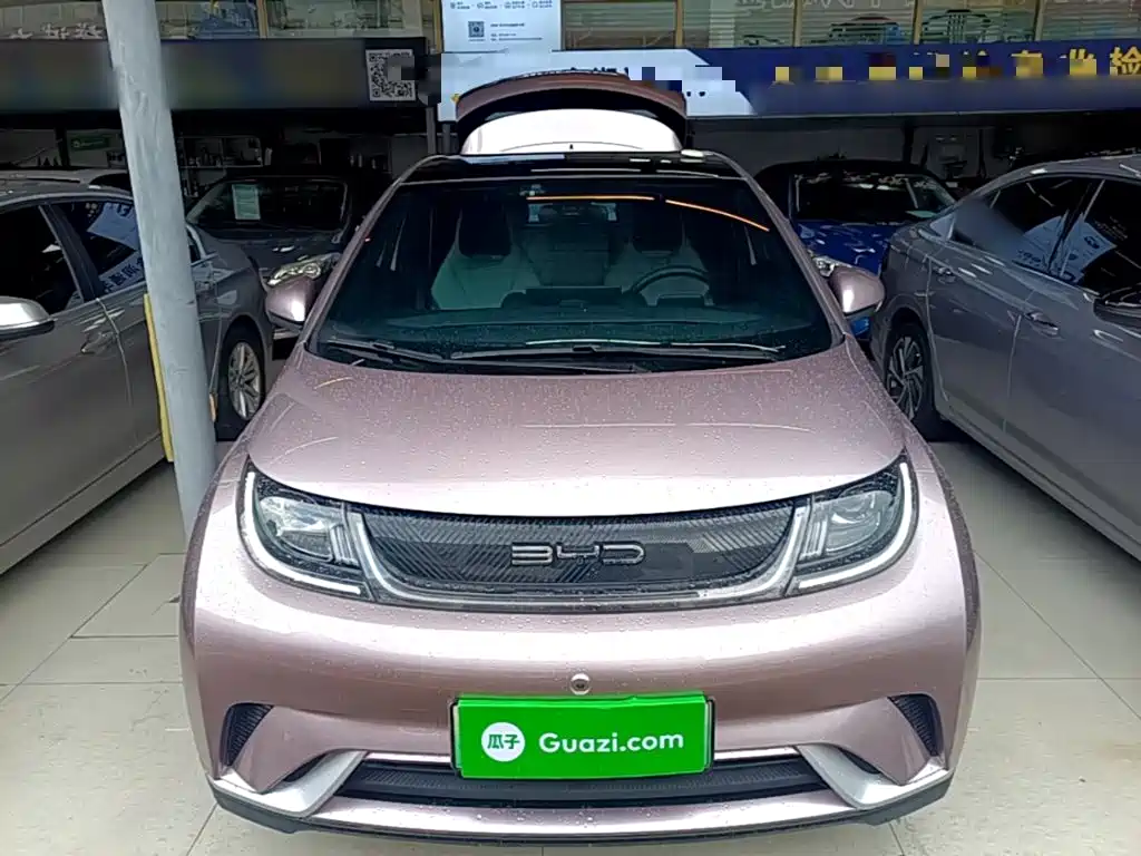 BYD Dolphin — миниатюра 3