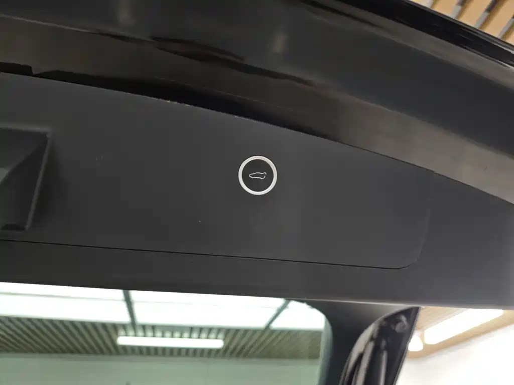 Tesla Model X — фотографии объявления, Фото 15