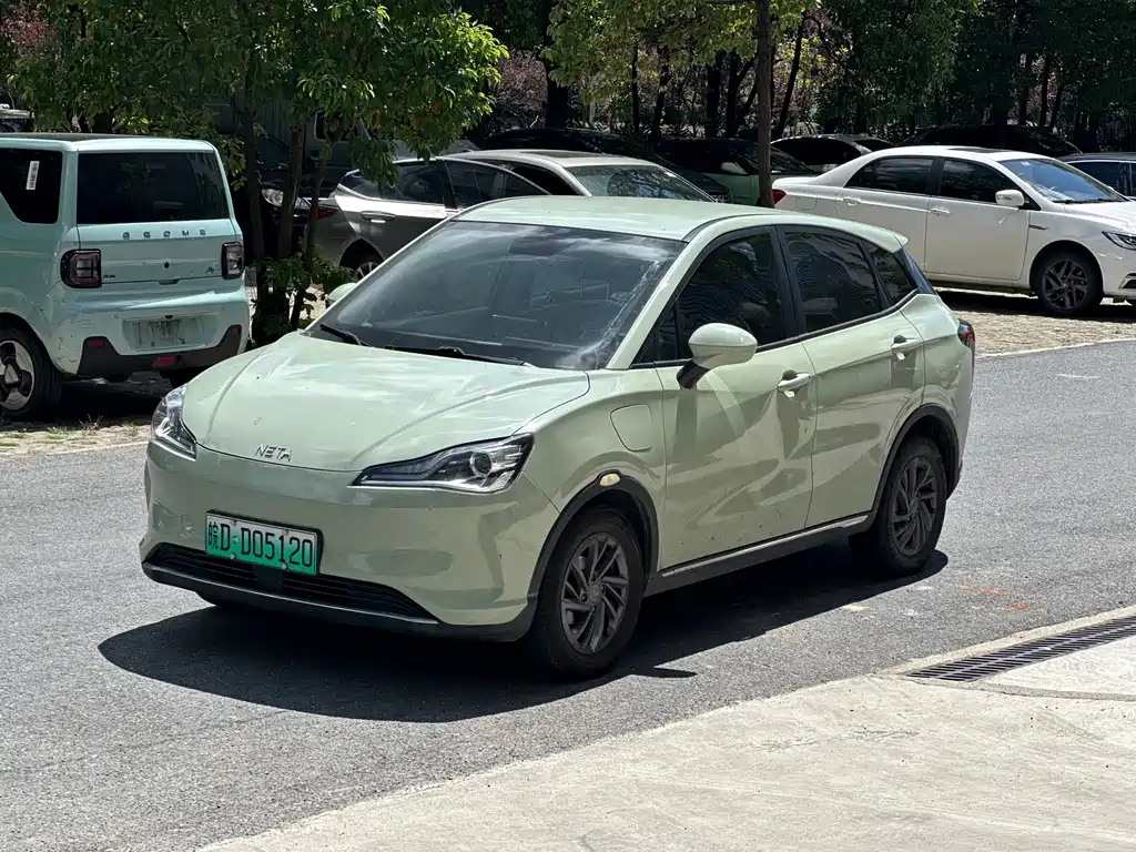 Neta Neta V — миниатюра 3