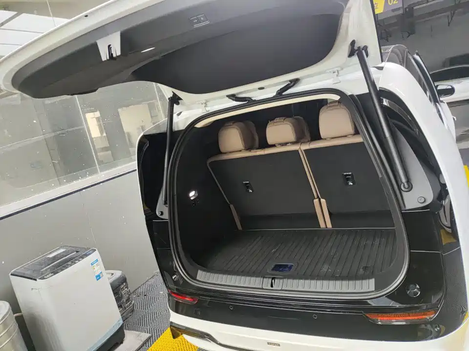 Li Auto MEGA 2025 Home