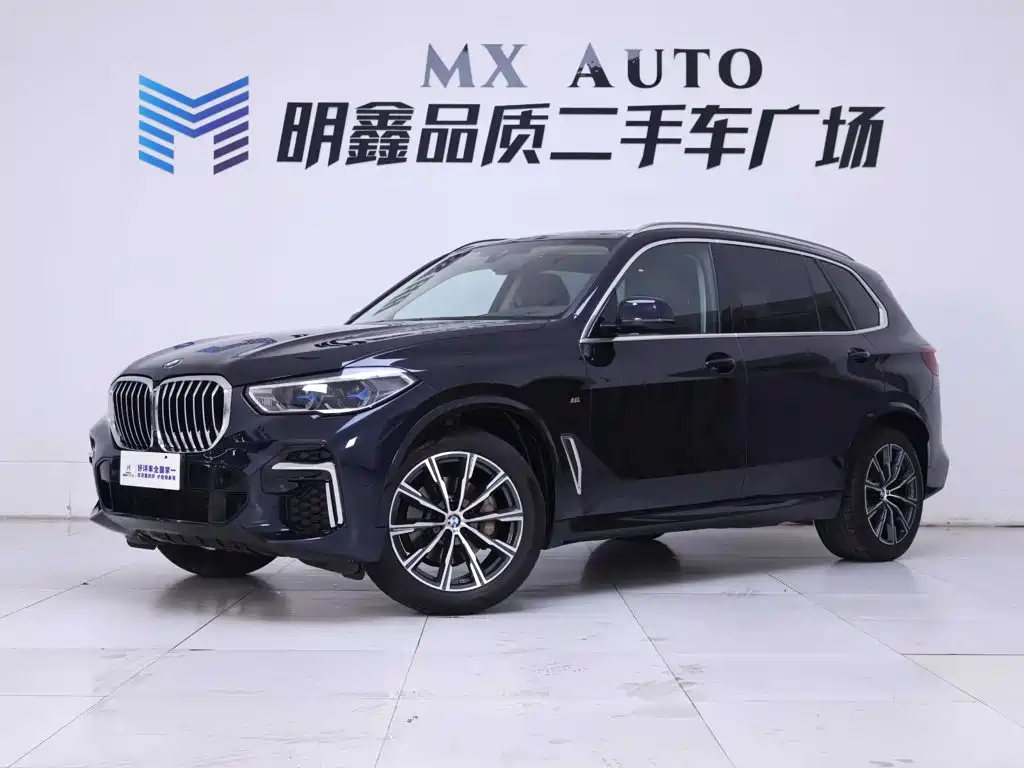 BMW X5 — миниатюра 2