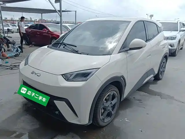 2024 BYD Seagull