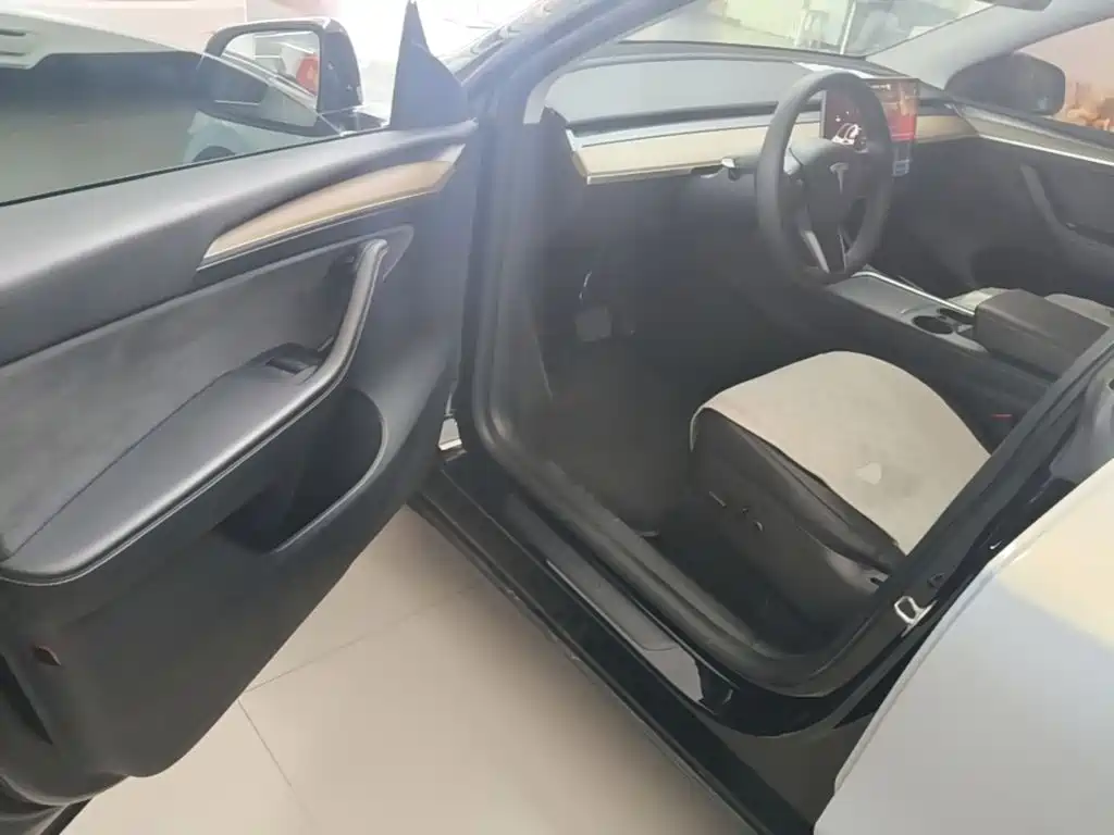 Tesla Model Y — миниатюра 16