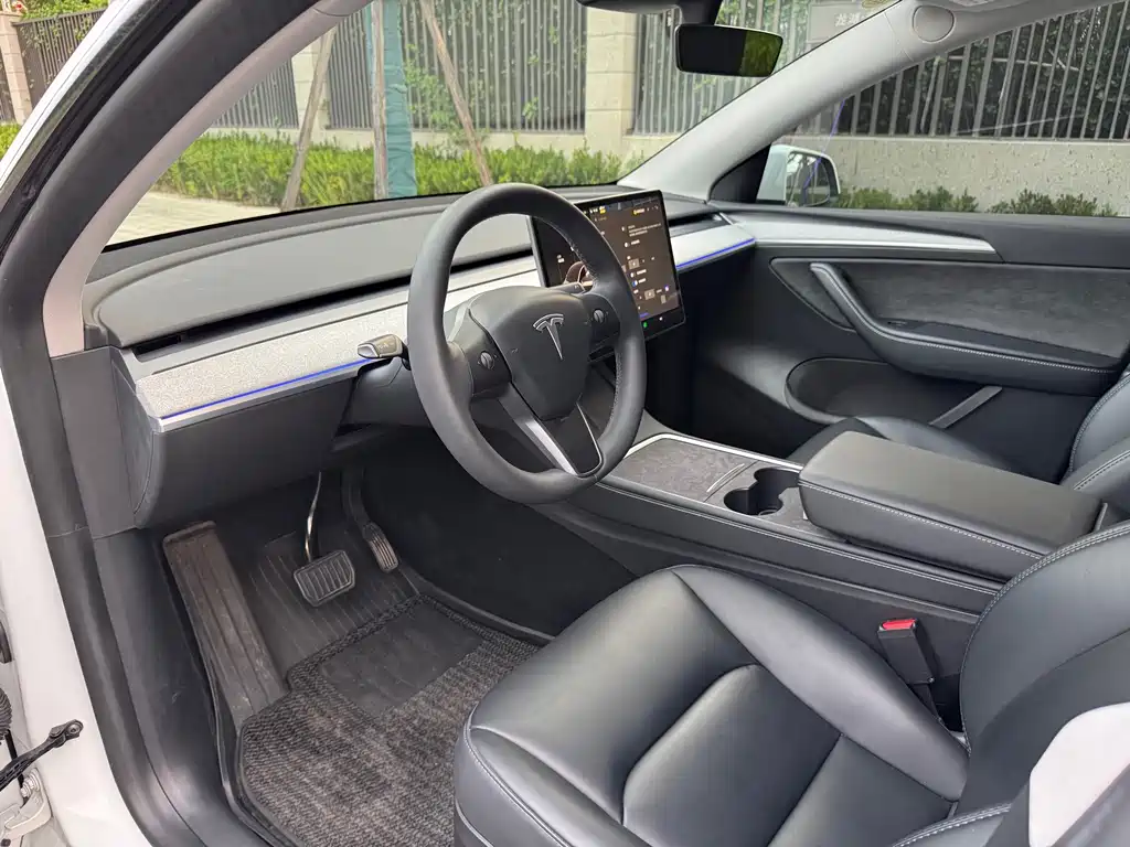 Tesla Model Y — миниатюра 6