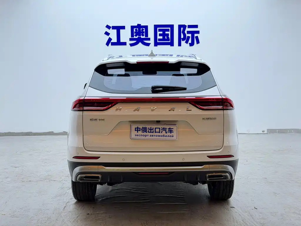 Haval H6 — миниатюра 18