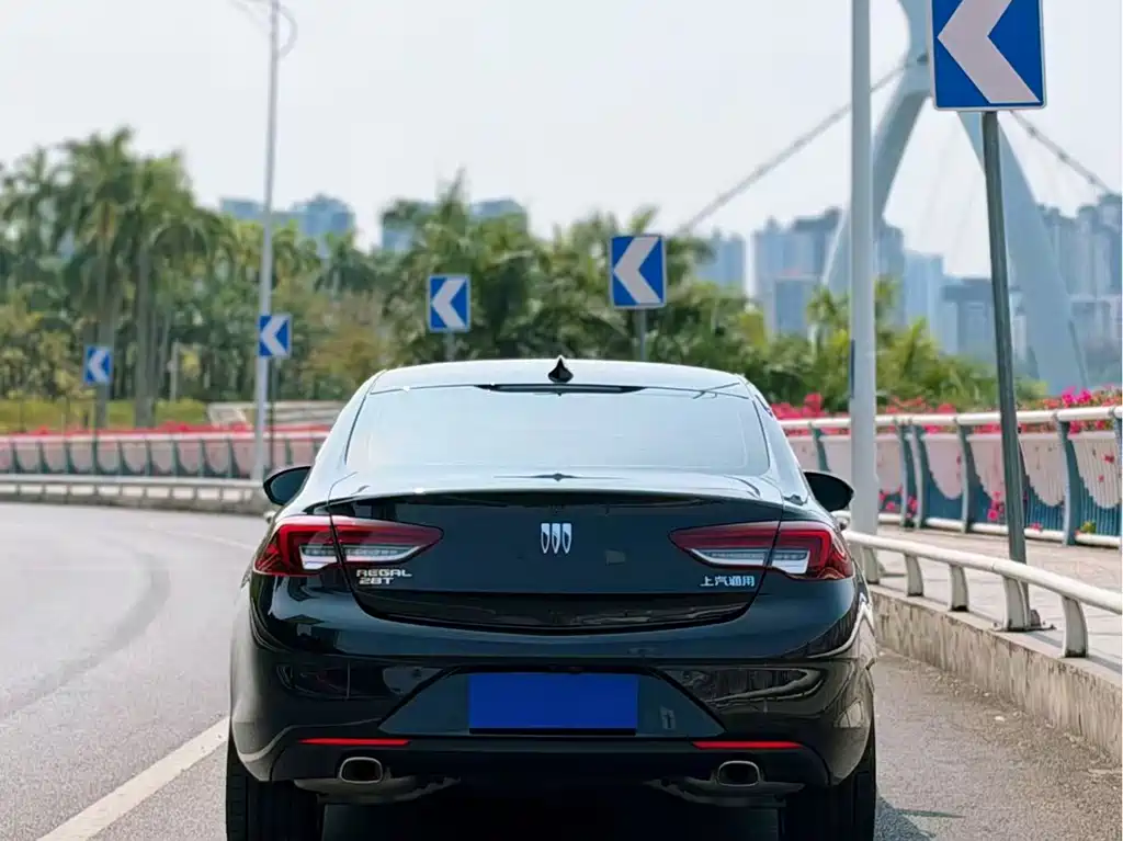 Buick Regal — миниатюра 7