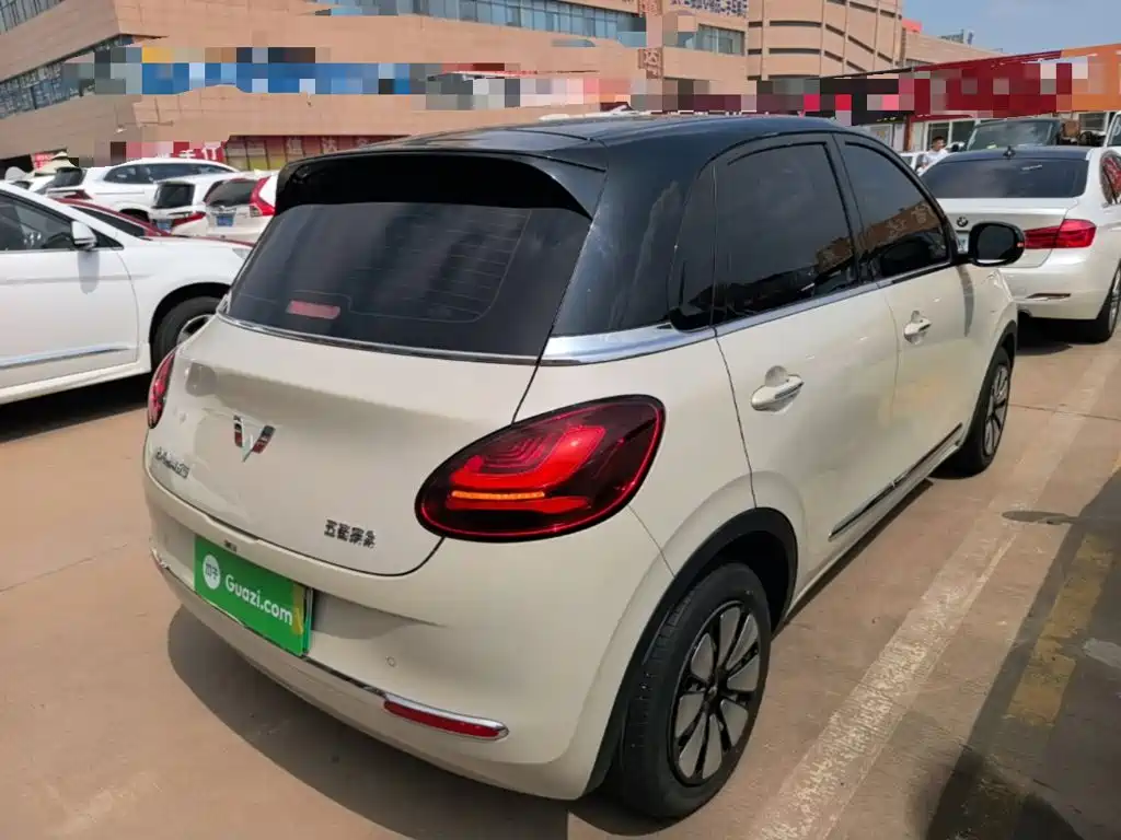 Wuling Binguo 2024 333km