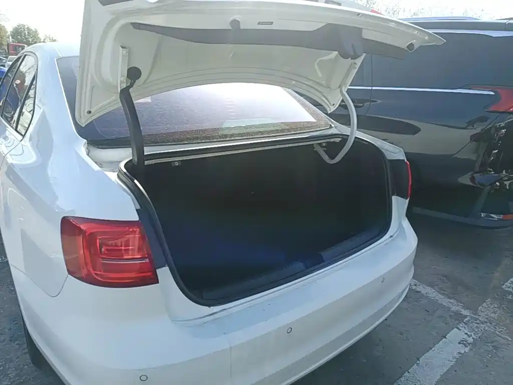 Volkswagen Sagitar — миниатюра 19