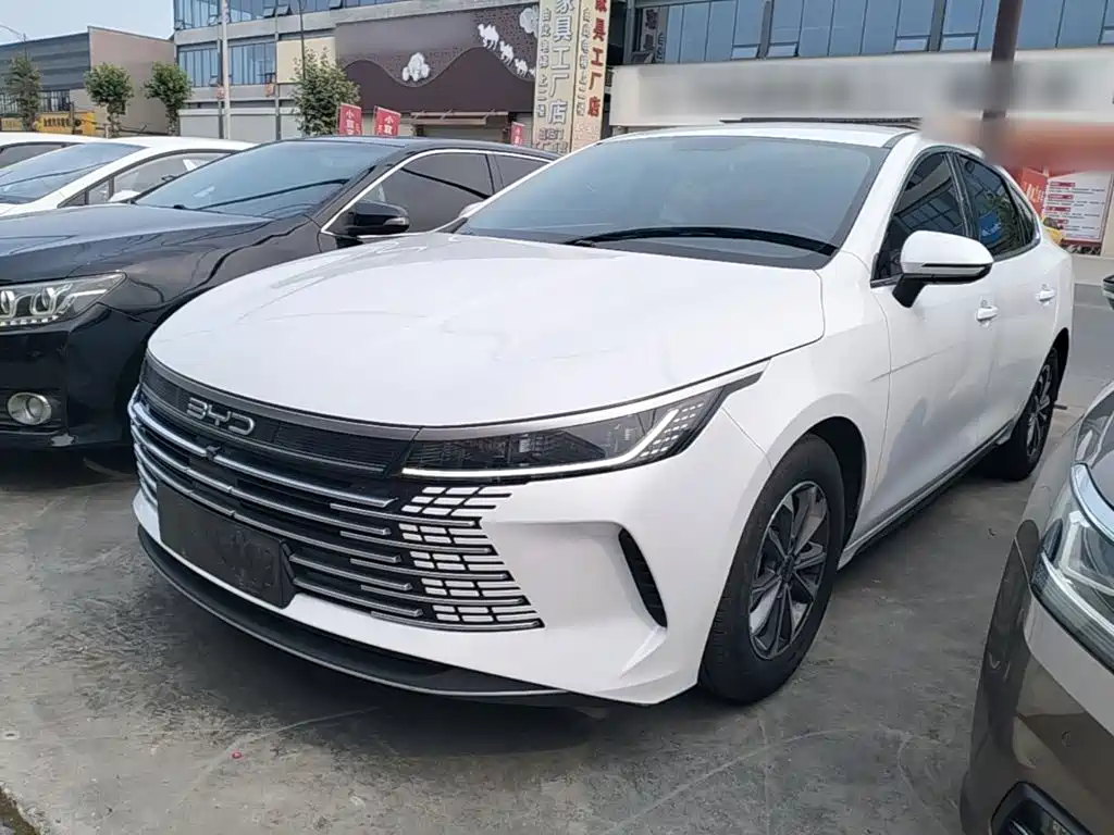 BYD Destroyer 05 2024 DM-i 55KM Luxury