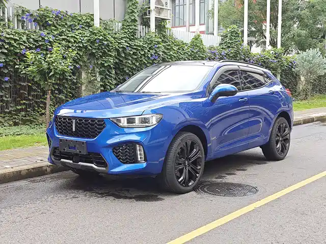 2018 Wey VV5