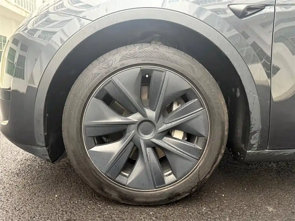 Tesla Model Y — миниатюра 8