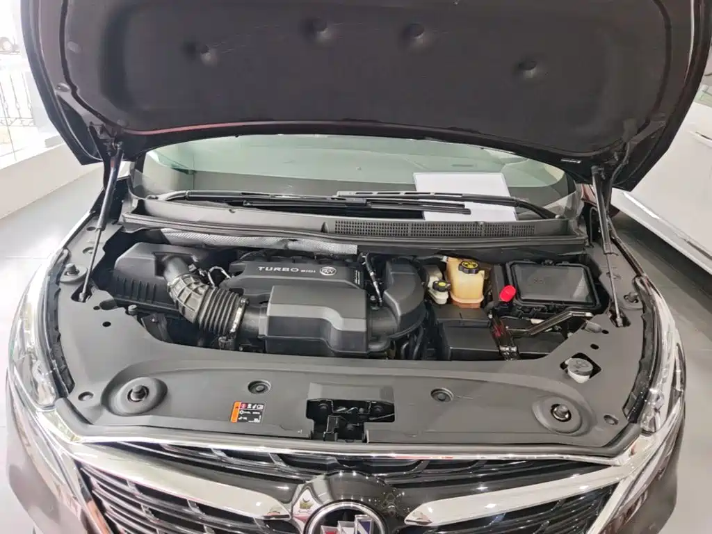 Buick GL8 — миниатюра 20