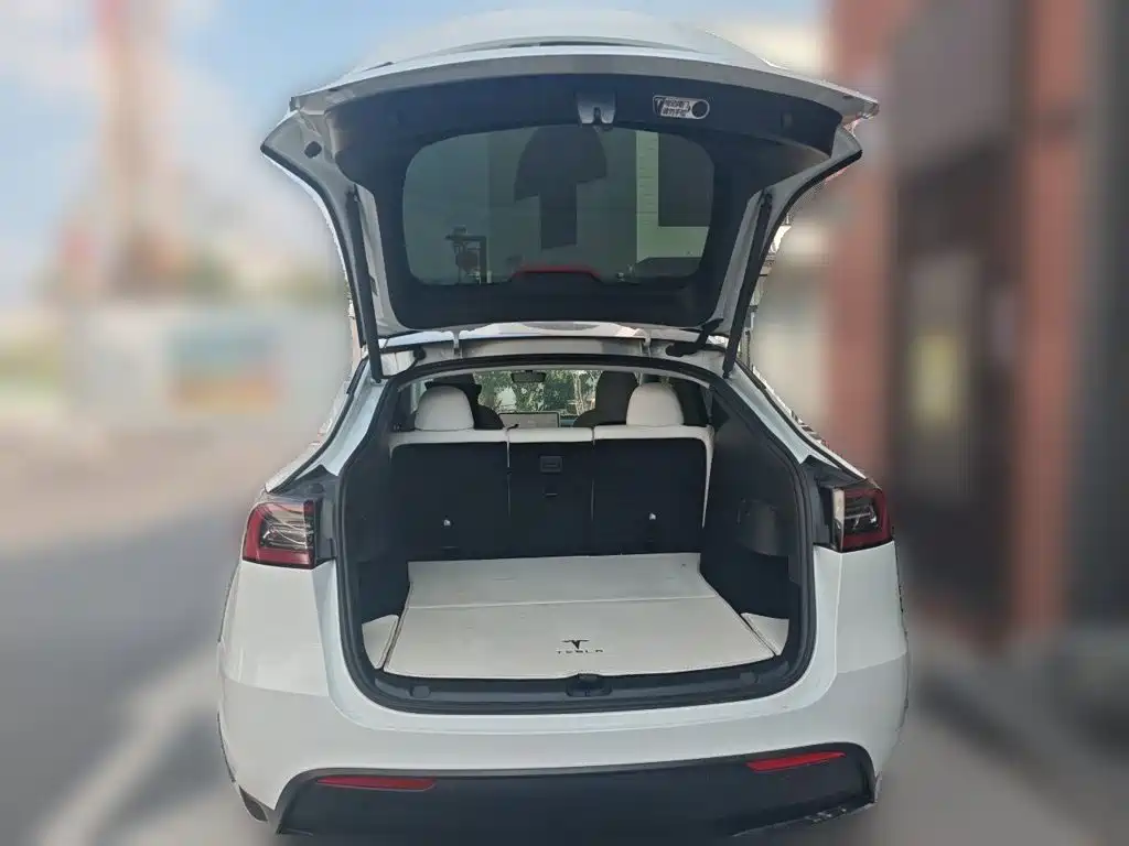 Tesla Model Y — миниатюра 20
