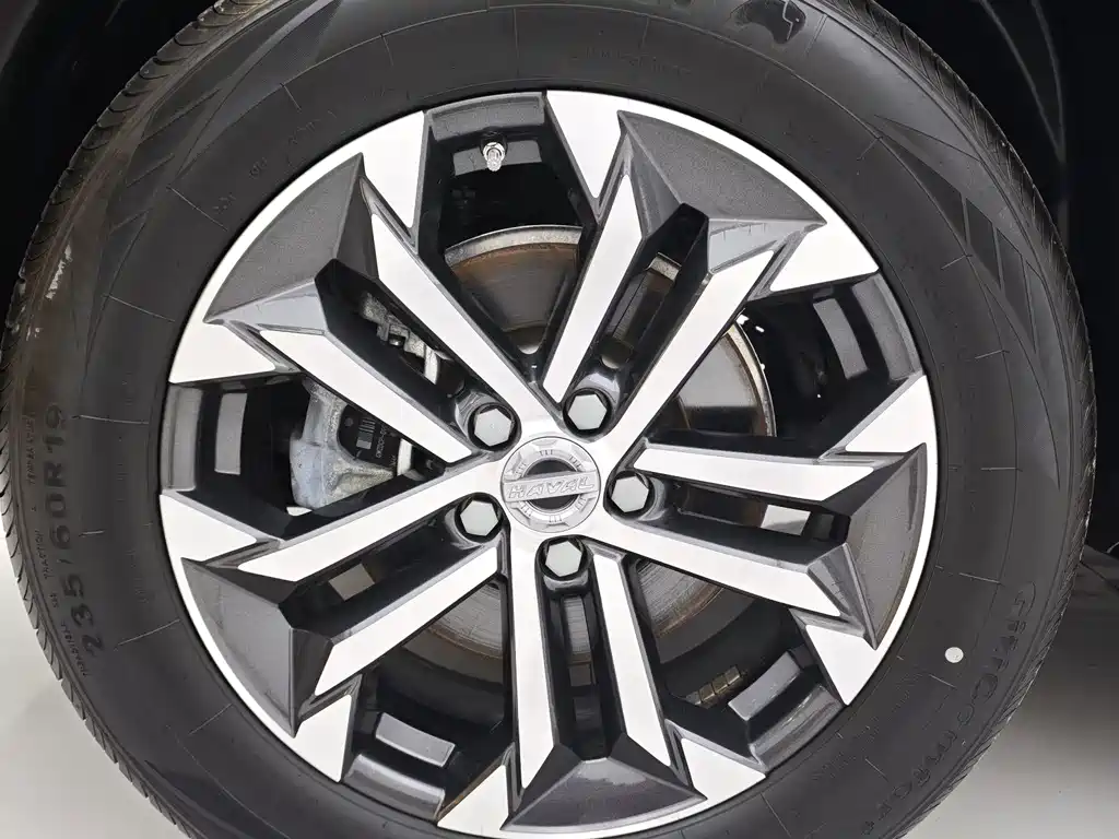 Haval Big Dog — миниатюра 20