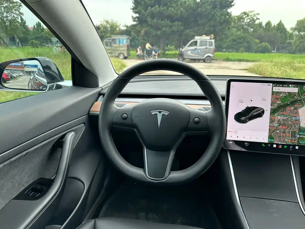 Tesla Model 3 — миниатюра 19