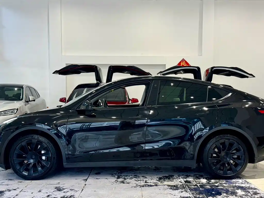 Tesla Model Y — миниатюра 7