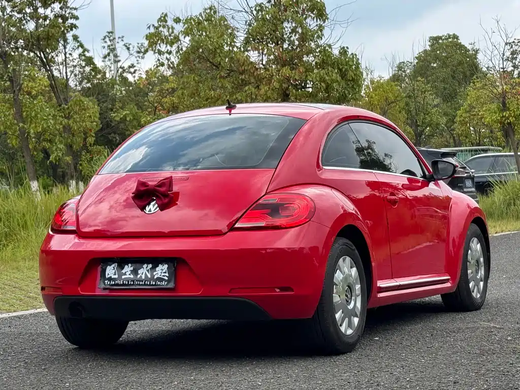 Volkswagen Beetle — миниатюра 14