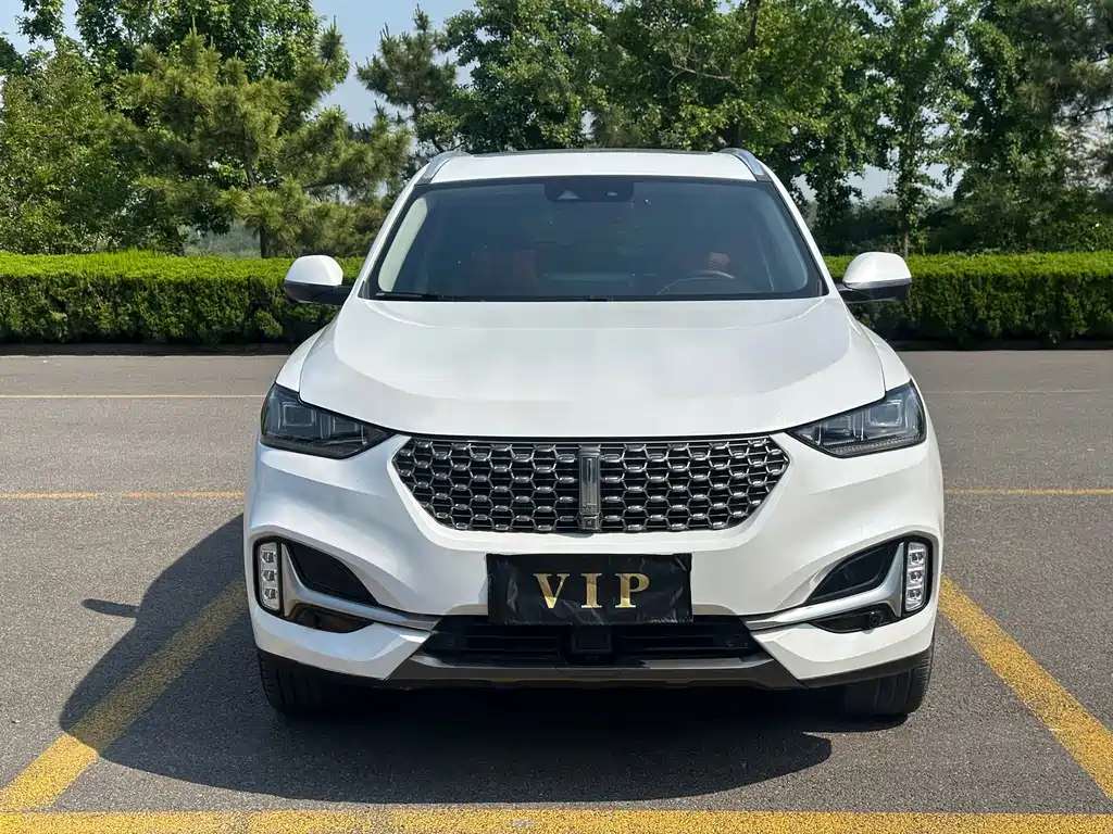 Wey Wey VV6 2021