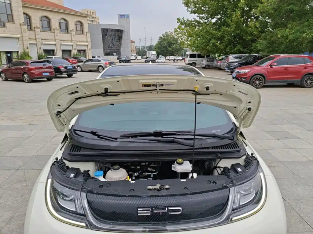 BYD Dolphin — миниатюра 20