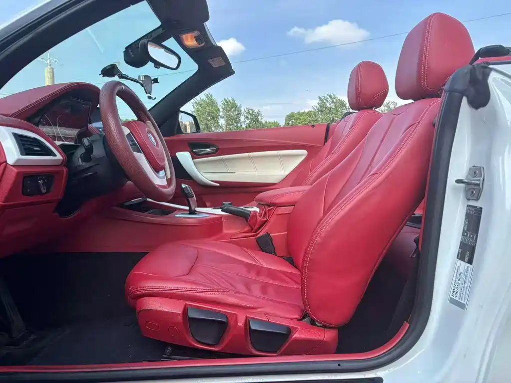 BMW 2 Series (Import) — миниатюра 6