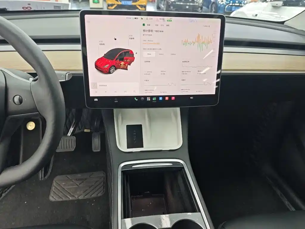 Tesla Model Y — миниатюра 13
