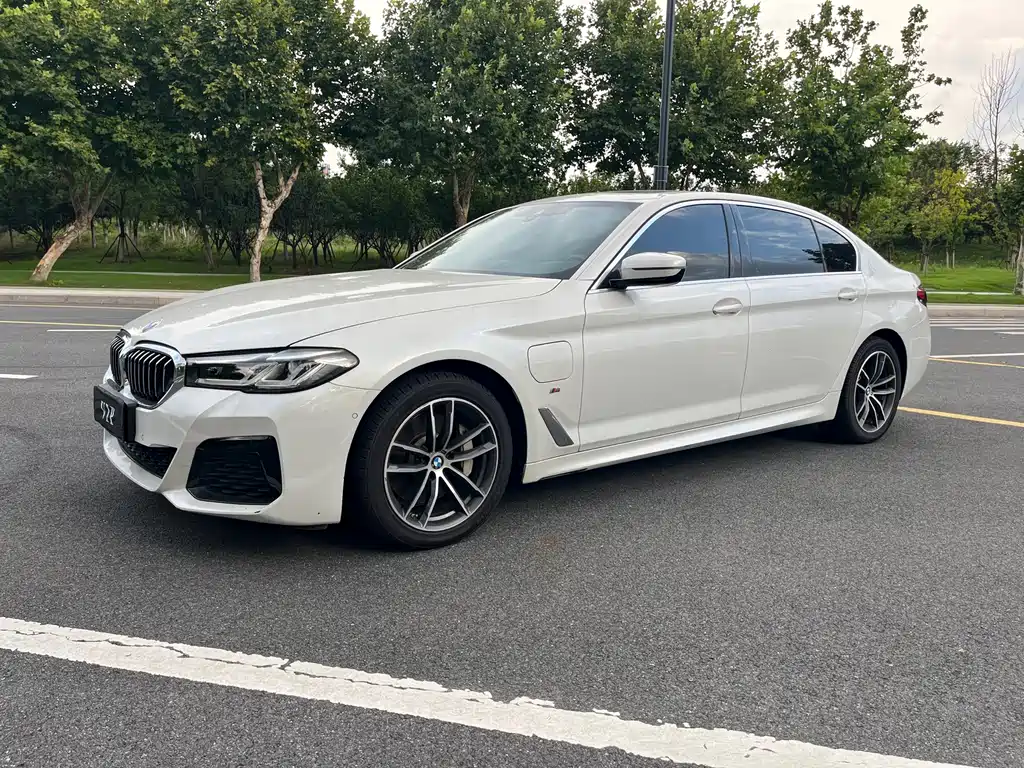 BMW 5 Series New Energy