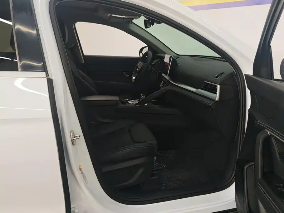 BYD Pro — миниатюра 8