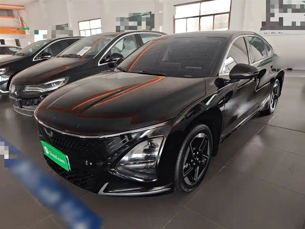 Wuling Xingguang 2024
