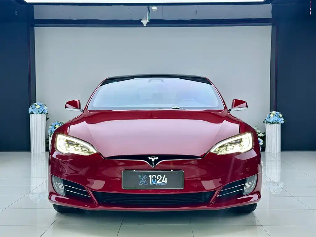 Tesla Model S — миниатюра 2