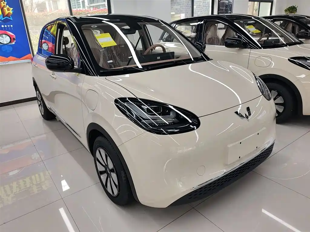 Wuling Binguo 2025 333km Enjoy