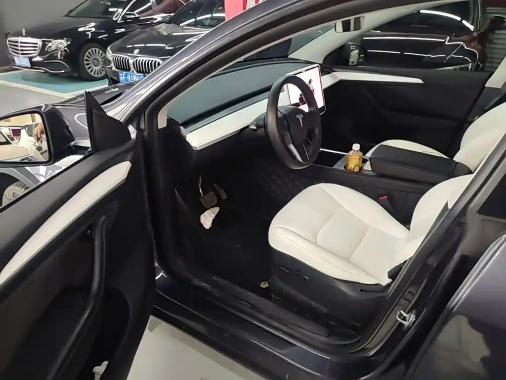 Tesla Model Y — миниатюра 16