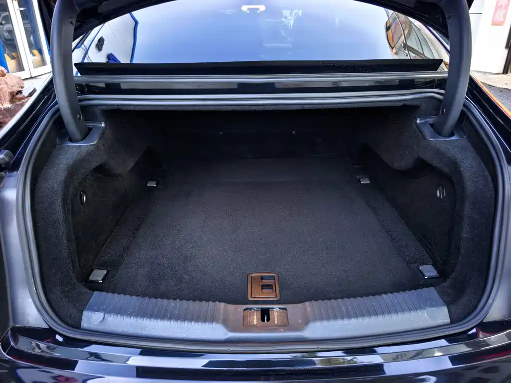 Hongqi Hongqi H9 — миниатюра 19