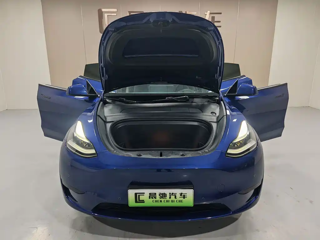Tesla Model Y — миниатюра 12