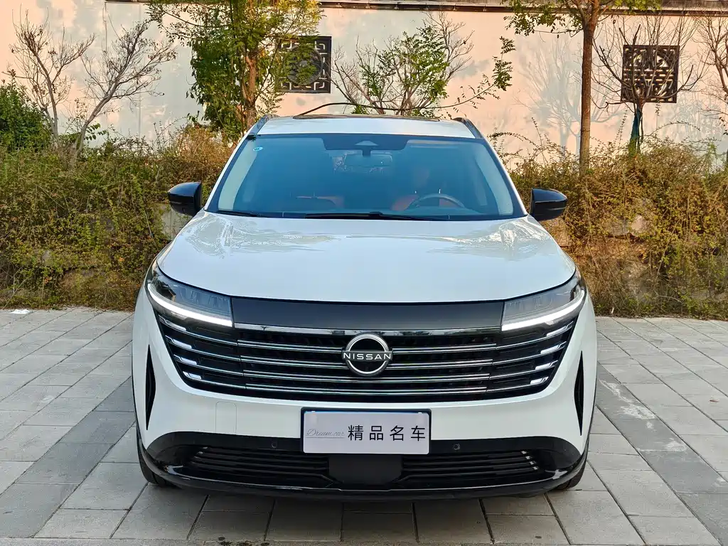 Nissan Teramont — миниатюра 2