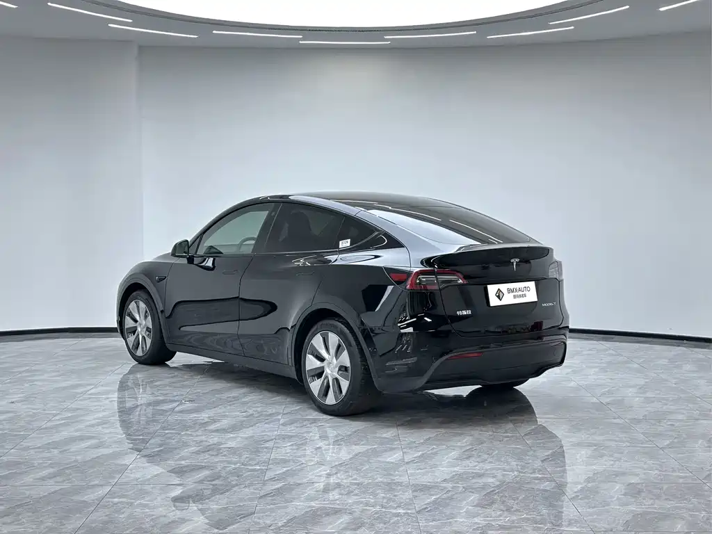 Tesla Model Y — миниатюра 5