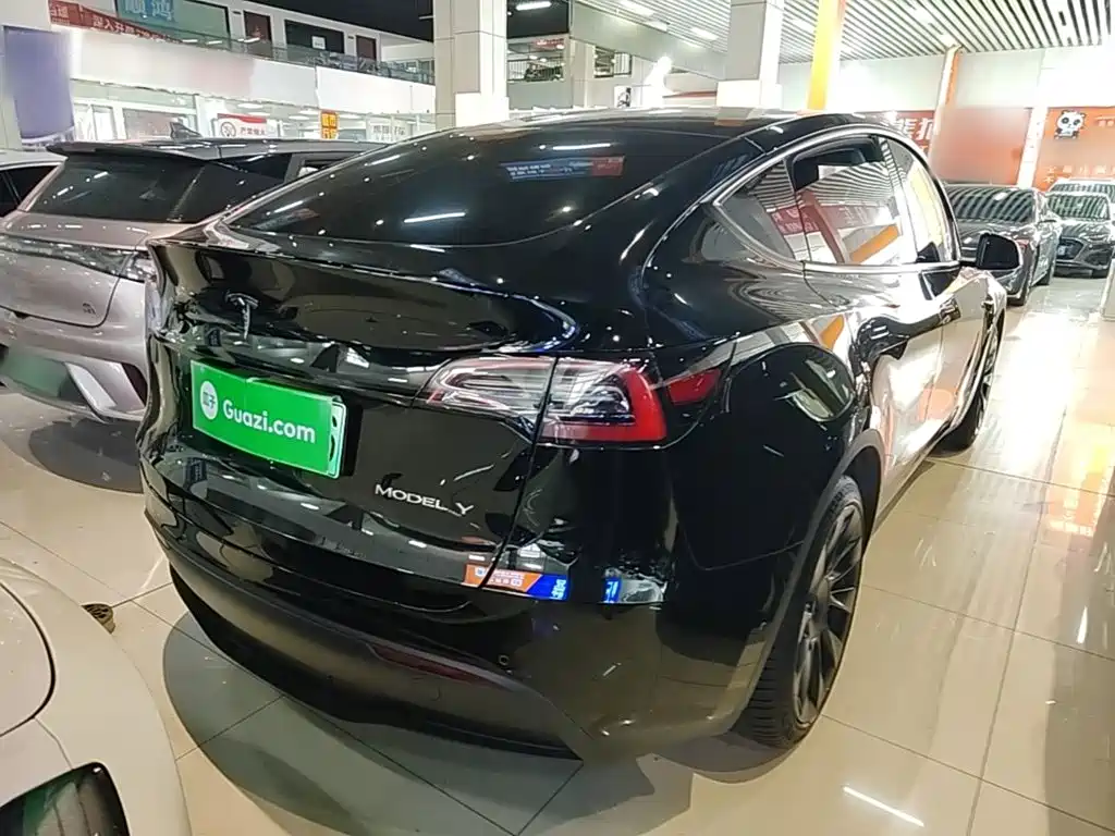 Tesla Model Y — миниатюра 7