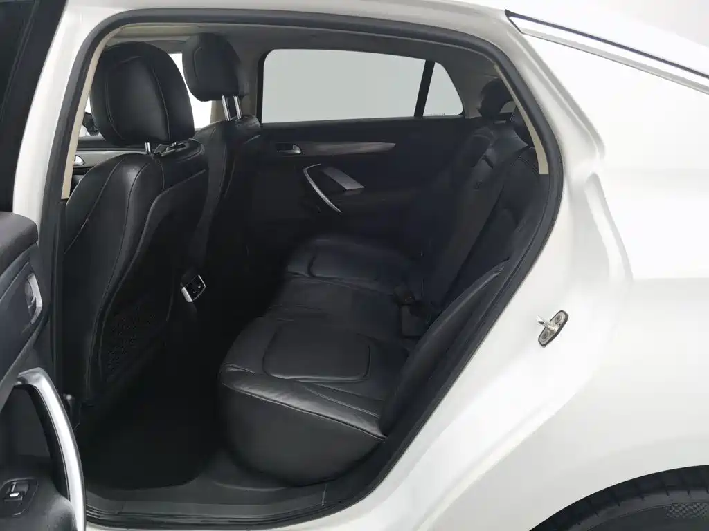 DS DS 5LS — миниатюра 15