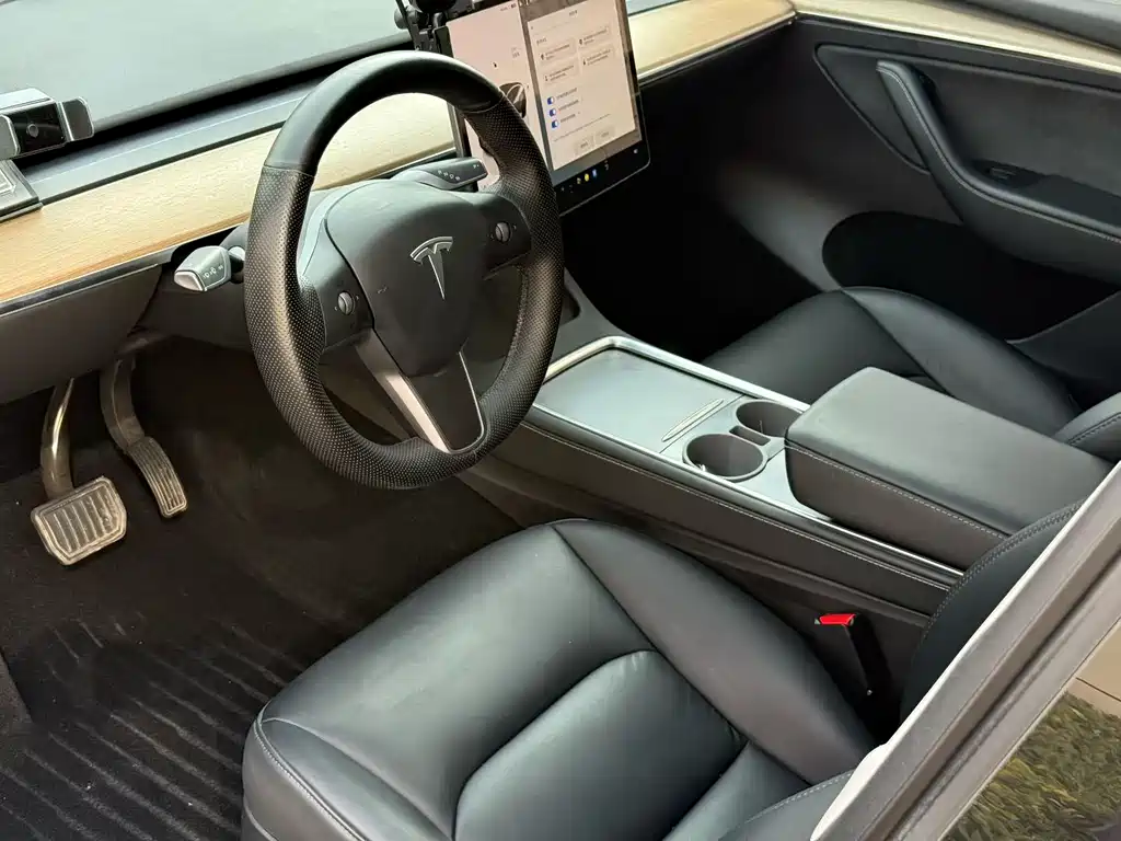 Tesla Model Y — миниатюра 6
