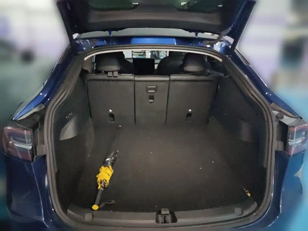 Tesla Model Y — миниатюра 15