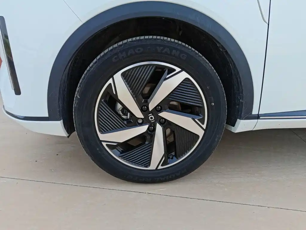 Qiyuan Чанг Ан Кай Q05 классика. — миниатюра 25