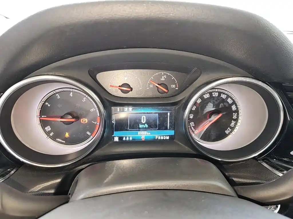 Buick Regal — миниатюра 12