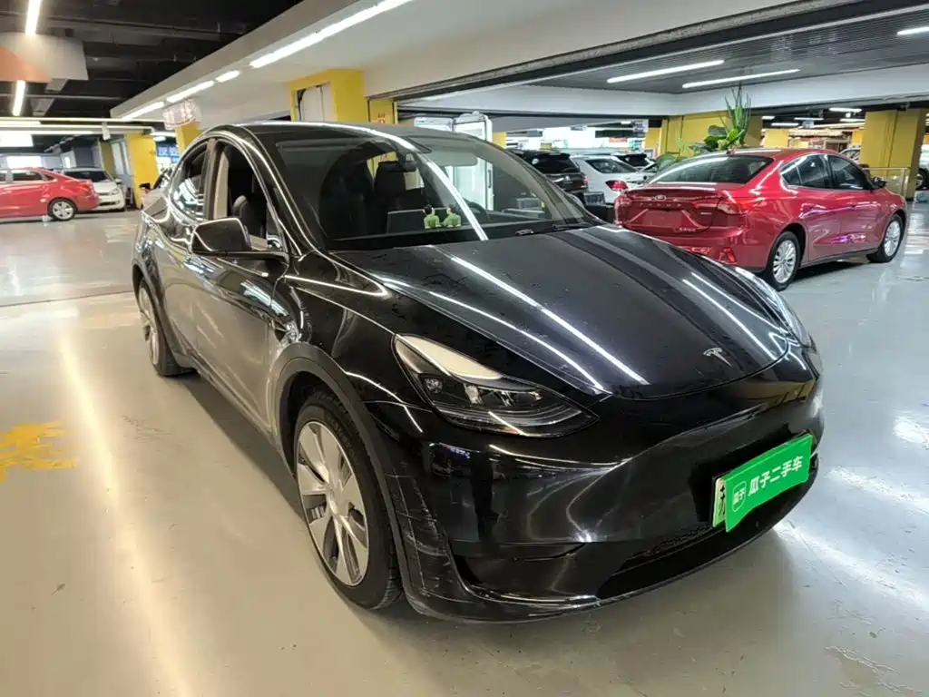 Tesla Model Y — миниатюра 4