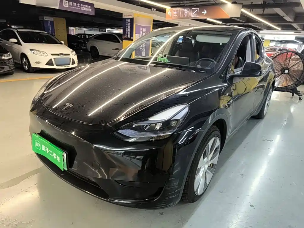 Tesla Model Y — миниатюра 2