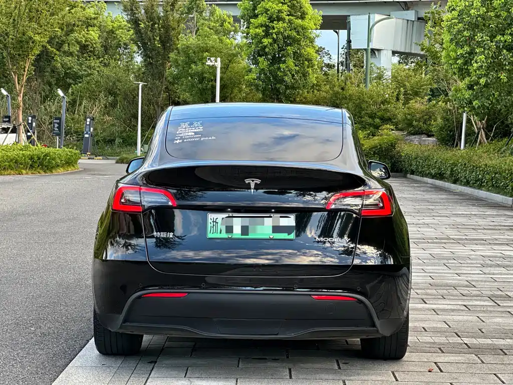 Tesla Model Y — миниатюра 5
