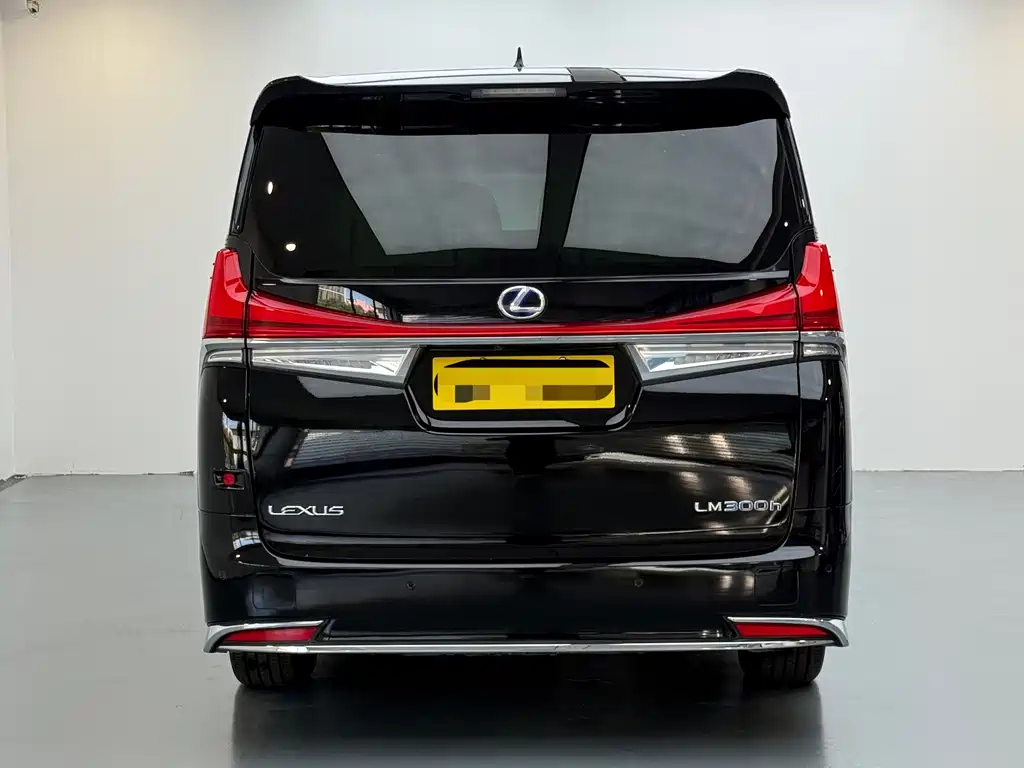 LEXUS LM